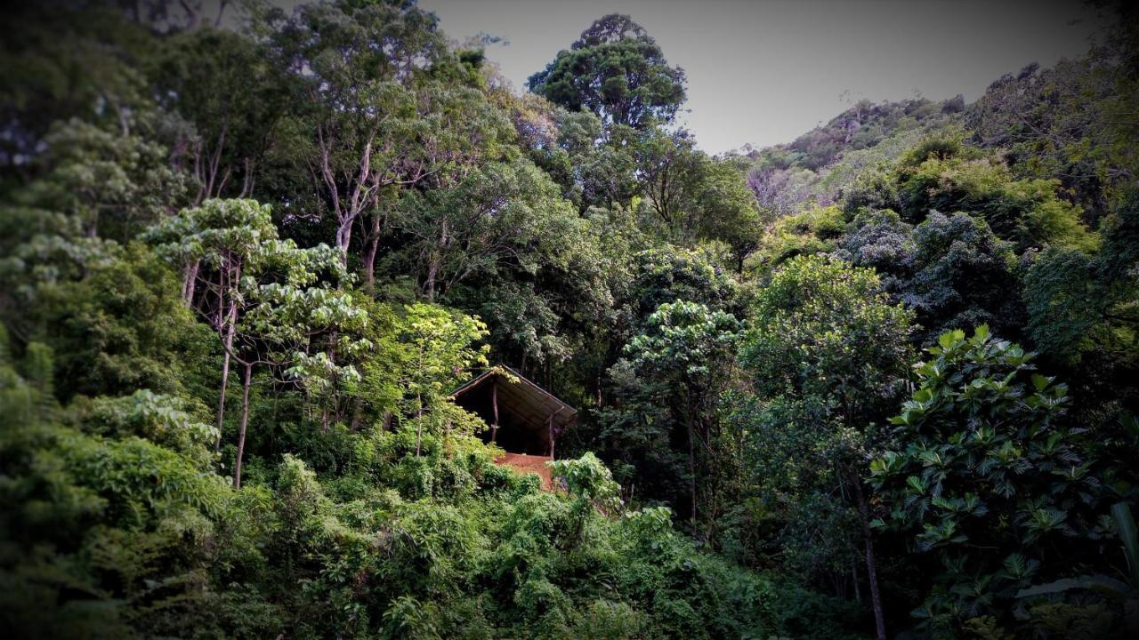 Chalet In The Jungle Pallegama Exterior photo